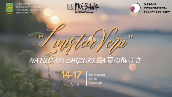 Expoziția „Liniștea verii” – Natsu no Shizukesa 夏の静けさ